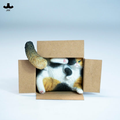 PRE ORDER – JXK & SMALL CARDBOARD BOX CAT 5.0 JS2504C