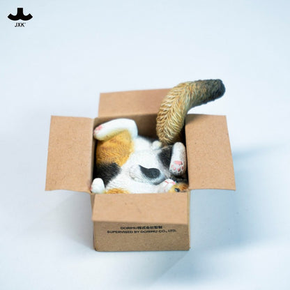 PRE ORDER – JXK & SMALL CARDBOARD BOX CAT 5.0 JS2504C