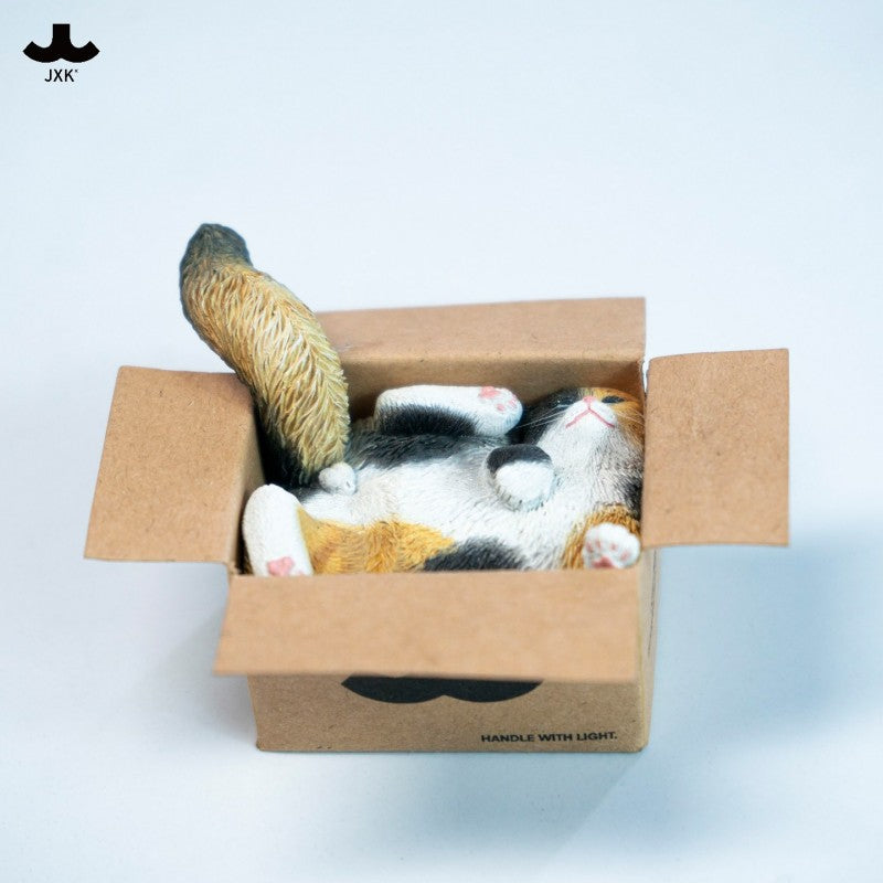 PRE ORDER – JXK & SMALL CARDBOARD BOX CAT 5.0 JS2504C