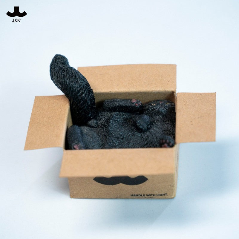 PRE ORDER – JXK & SMALL CARDBOARD BOX CAT 5.0 JS2504D