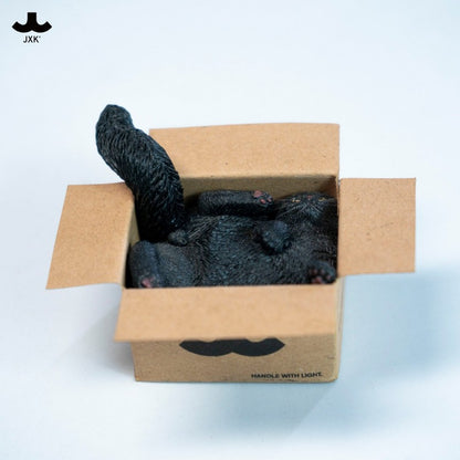 PRE ORDER – JXK & SMALL CARDBOARD BOX CAT 5.0 JS2504D