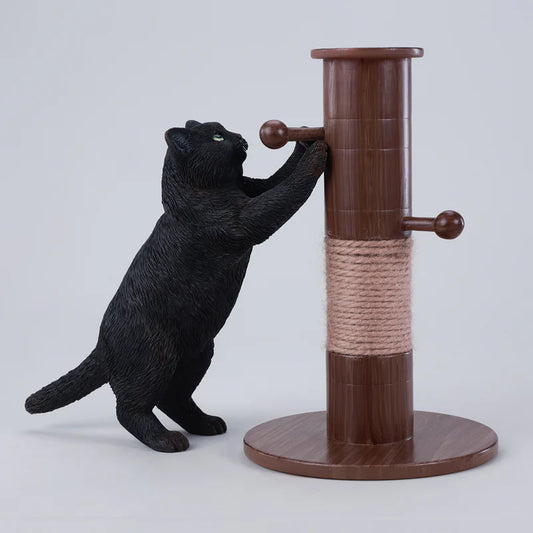 PRE ORDER – JXK306C KUNG FU CAT