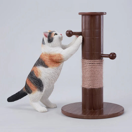 PRE ORDER – JXK306D KUNG FU CAT