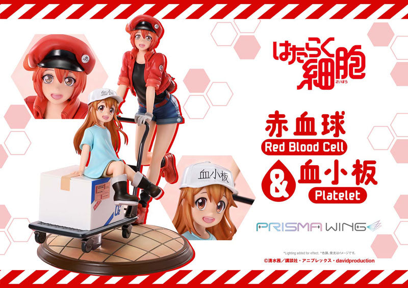PRE ORDER – PRISMA WING CELLS AT WORK RED BLOOD CELL & PLATELET NON SCALE PRE-PAINTED FIGURE