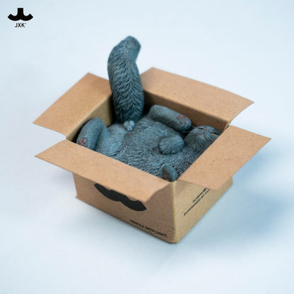 PRE ORDER – JXK & SMALL CARDBOARD BOX CAT 5.0 JS2504B