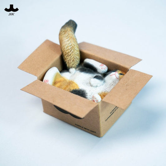 PRE ORDER – JXK & SMALL CARDBOARD BOX CAT 5.0 JS2504C