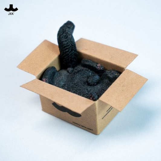 PRE ORDER – JXK & SMALL CARDBOARD BOX CAT 5.0 JS2504D