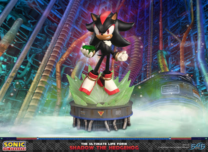 PRE ORDER – SONIC THE HEDGEHOG - THE ULTIMATE LIFE FORM: SHADOW THE HEDGEHOG STANDARD EDITION