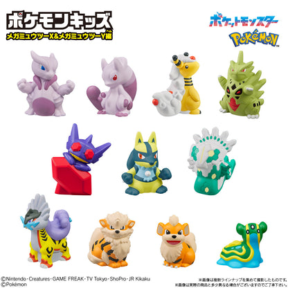 PRE ORDER – POKEMON KIDS MEGA MEWTWO X & MEWTWO Y SERIES (BOX OF 21)