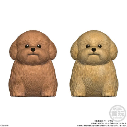 PRE ORDER – MOCCHIRI KORORIN ♪DOGS W/O GUM (BOX OF 12)