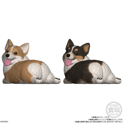 PRE ORDER – MOCCHIRI KORORIN ♪DOGS W/O GUM (BOX OF 12)
