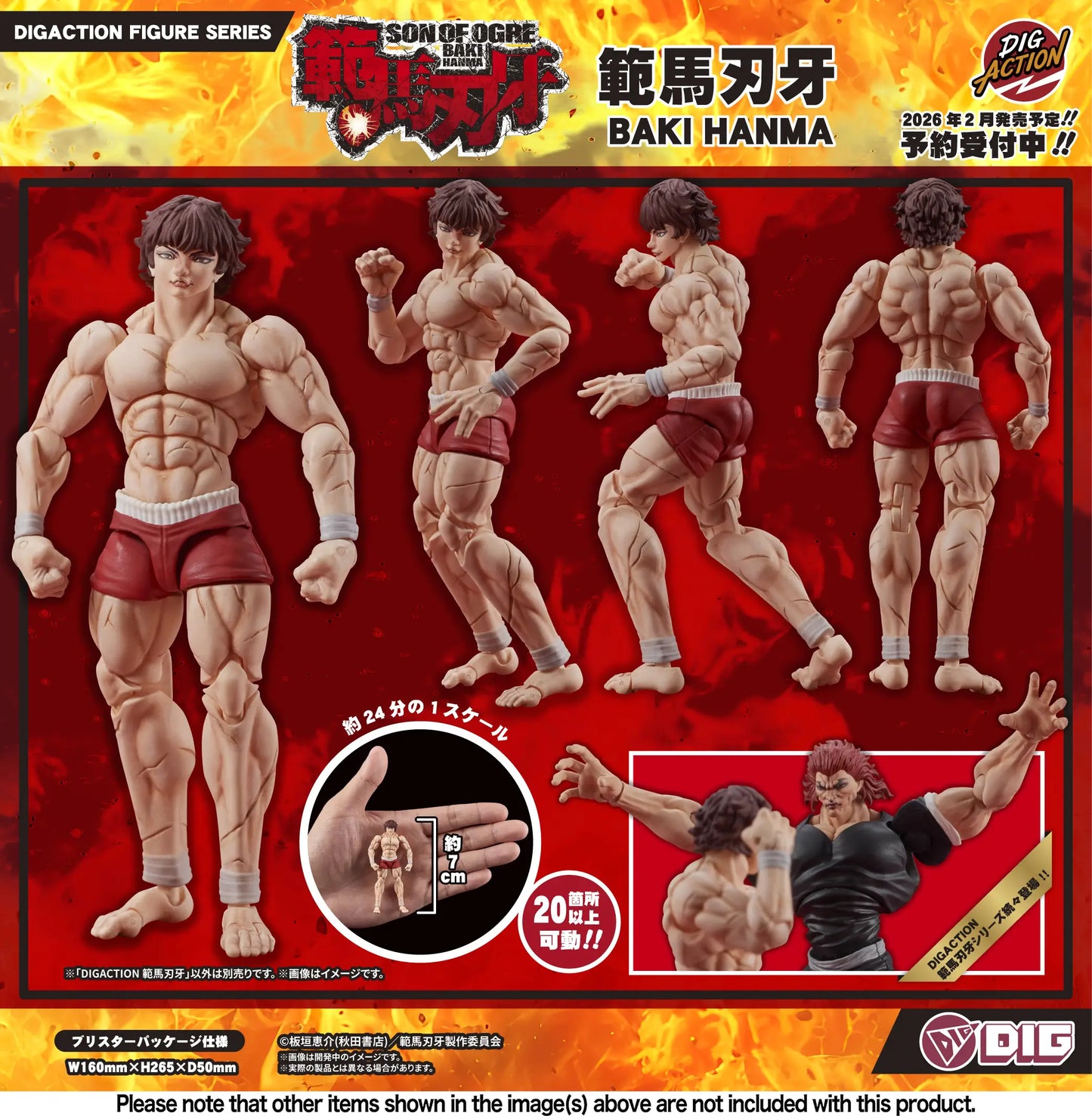 PRE ORDER – 1/24 DIGACTION BAKI HANMA - BAKI HANMA