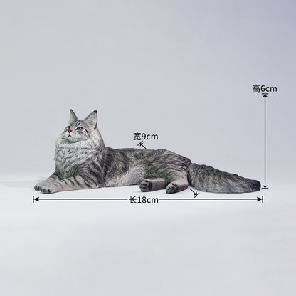 PRE ORDER – 1/6 MAINE COON D2507A