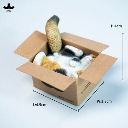 PRE ORDER – JXK & SMALL CARDBOARD BOX CAT 5.0 JS2504C