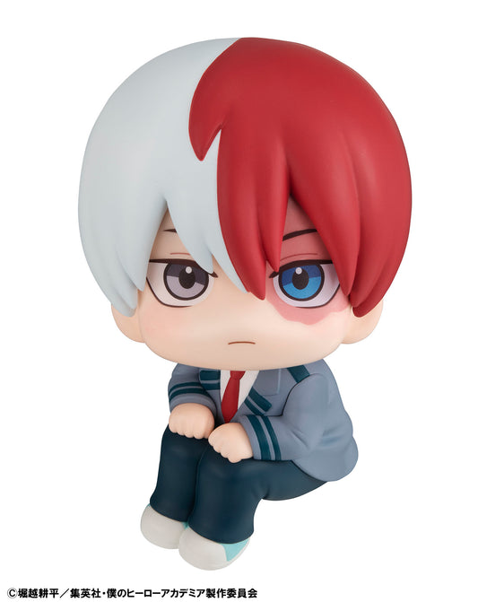 BACK ORDER – LOOKUP MY HERO ACADEMIA SHOTO TODOROKI （REPEAT）