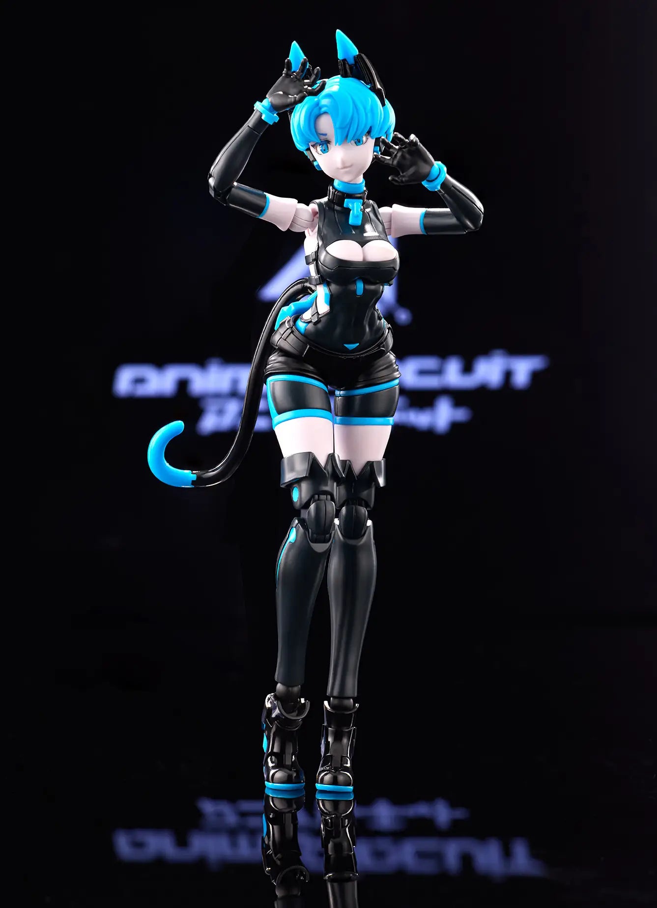 PRE ORDER – 1/12 ANIMA CIRCUIT – SORA THE CAT SP