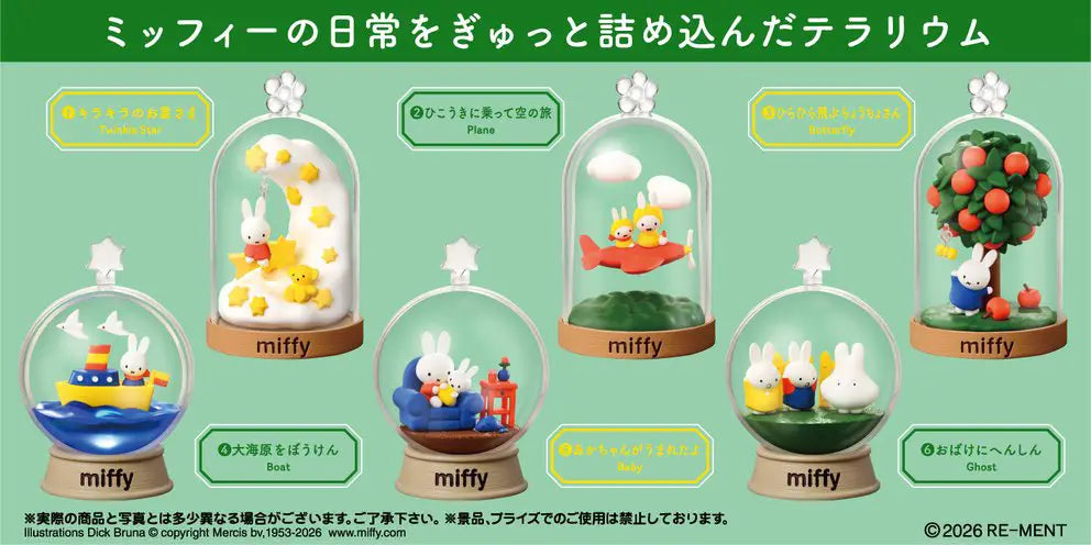 PRE ORDER – MIFFY TERRARIUM (BOX OF 6)