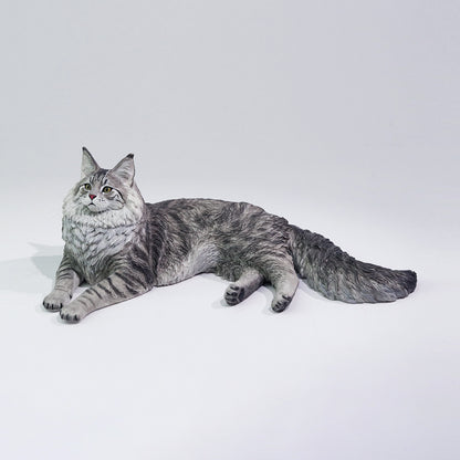 PRE ORDER – 1/6 MAINE COON D2507A